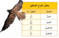 أنواع الصقور